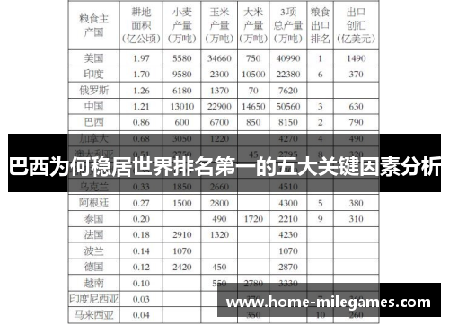巴西为何稳居世界排名第一的五大关键因素分析