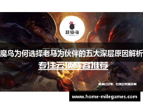 魔鸟为何选择老马为伙伴的五大深层原因解析