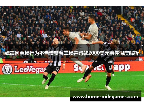 魏震因赛场行为不当遭禁赛三场并罚款2000美元事件深度解析