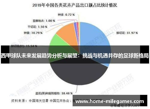 西甲球队未来发展趋势分析与展望：挑战与机遇并存的足球新格局