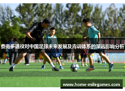 费南多退役对中国足球未来发展及青训体系的深远影响分析